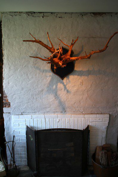 Fireplace in the union street guest house fireplace
