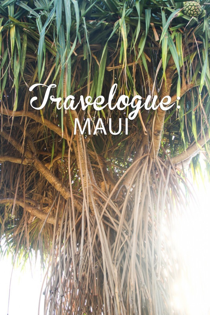 Travelogue: Maui (Hither & Thither)