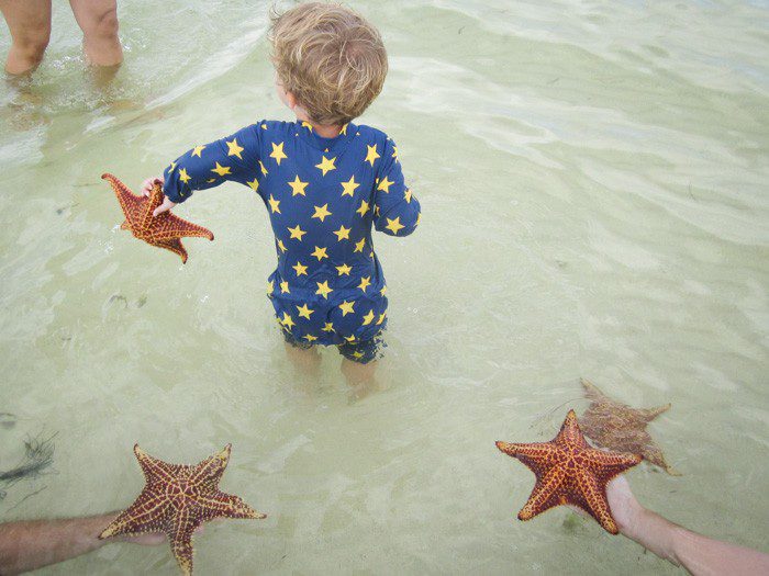 Starfish at the Grand Cayman