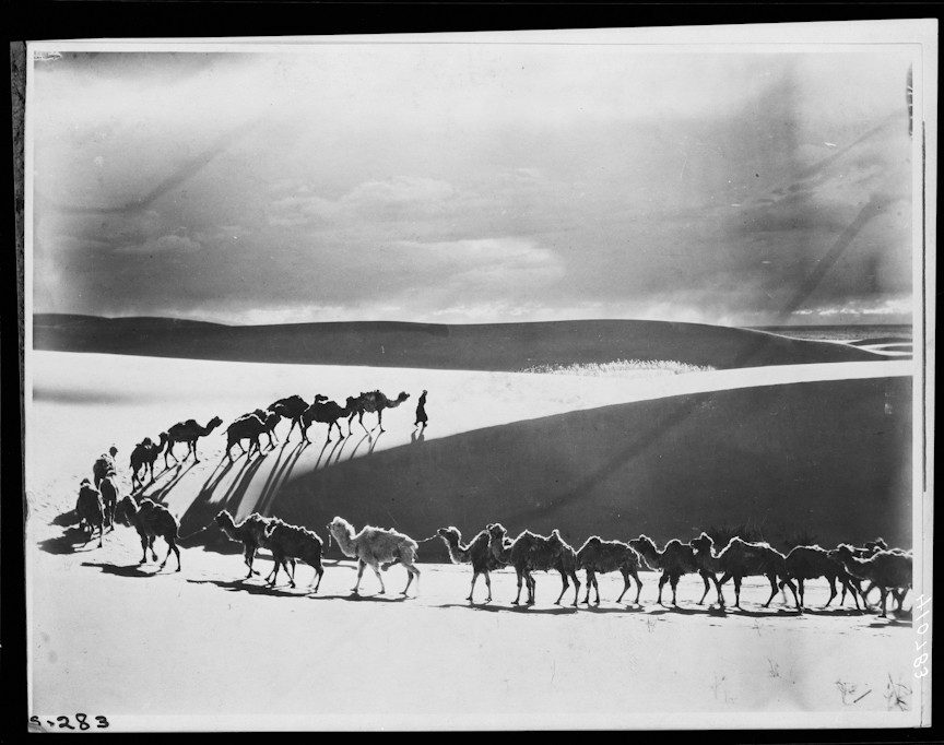 Merin in Mongolia 1928