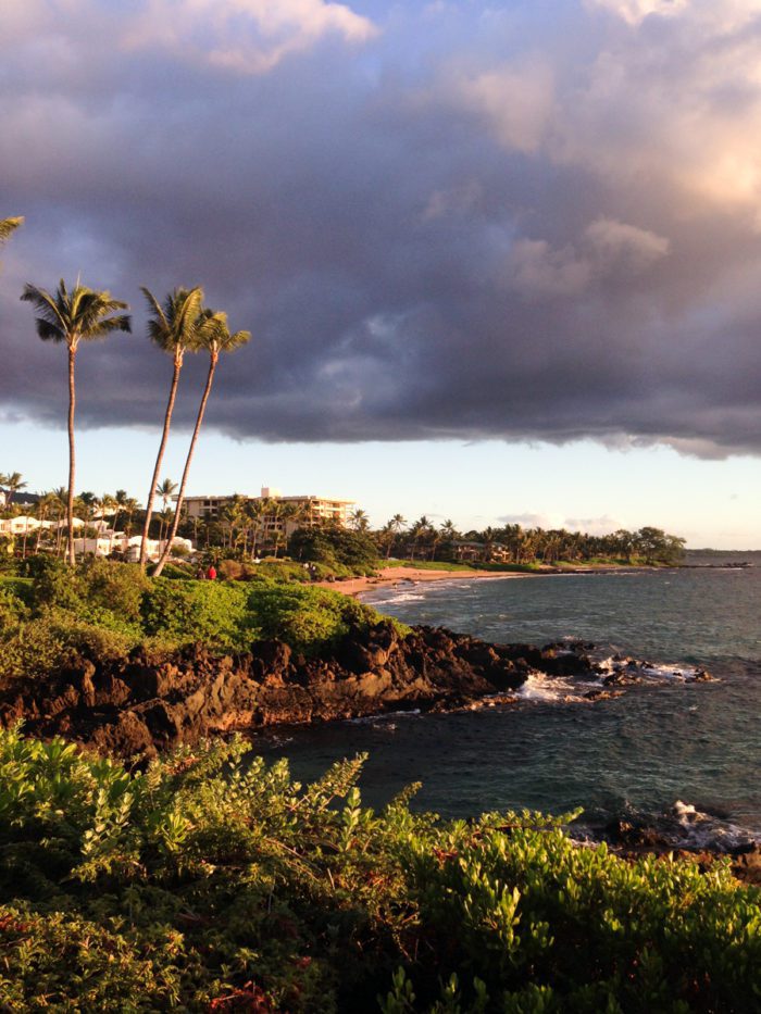 MauiHitherandThither-06