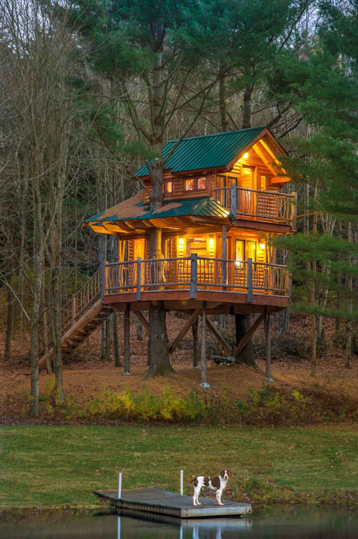 Treehouse-HitherAndThither-2